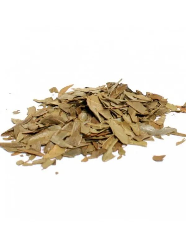 boldo_2.webp L'ile aux épices Infusions Et Tisanes D'herboristerie*Boldo