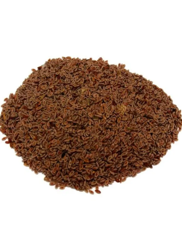 plantain_psyllium_2.webp L'ile aux épices Superaliments | Epices*Plantain psyllium